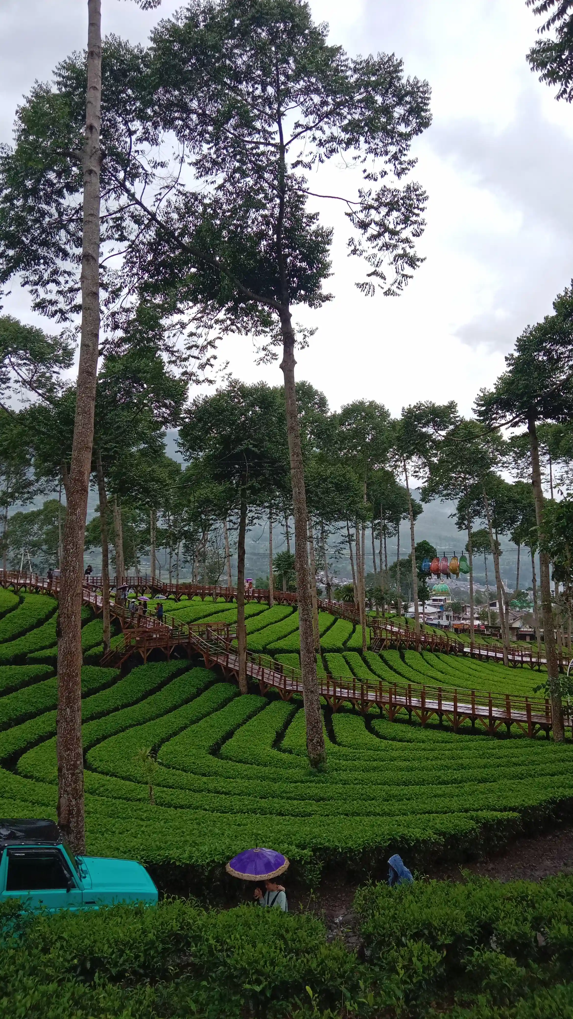 Arsip visual ekspedisi Dataran Tinggi Dieng didokumentasikan oleh Danu Syarifudin (#7)